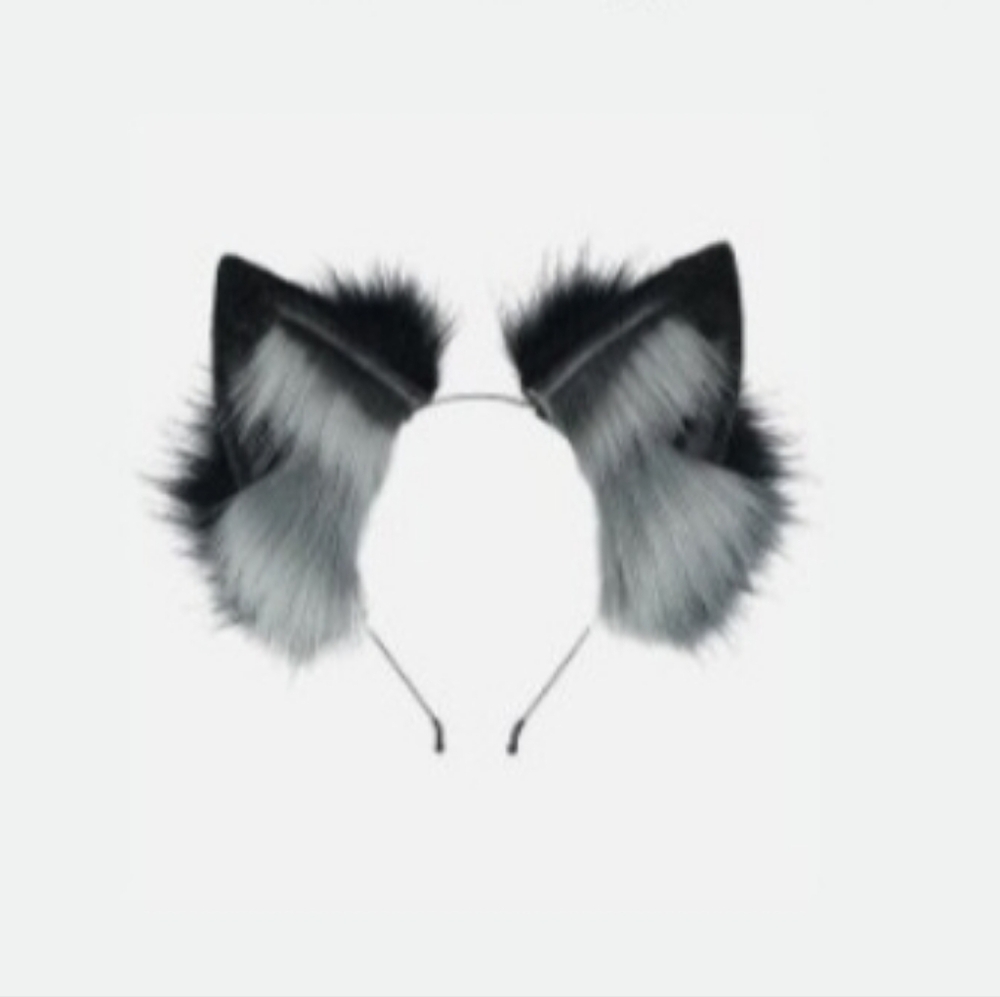 Cat Eqr Headband